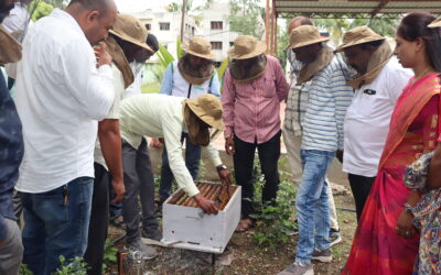 मधुमक्षिका पालन व्यवसाय प्रशिक्षण