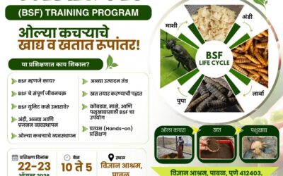 Black Soldier Fly (BSF) Training Program